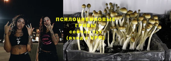 гидра Костерёво