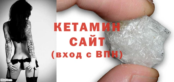 трава Карпинск